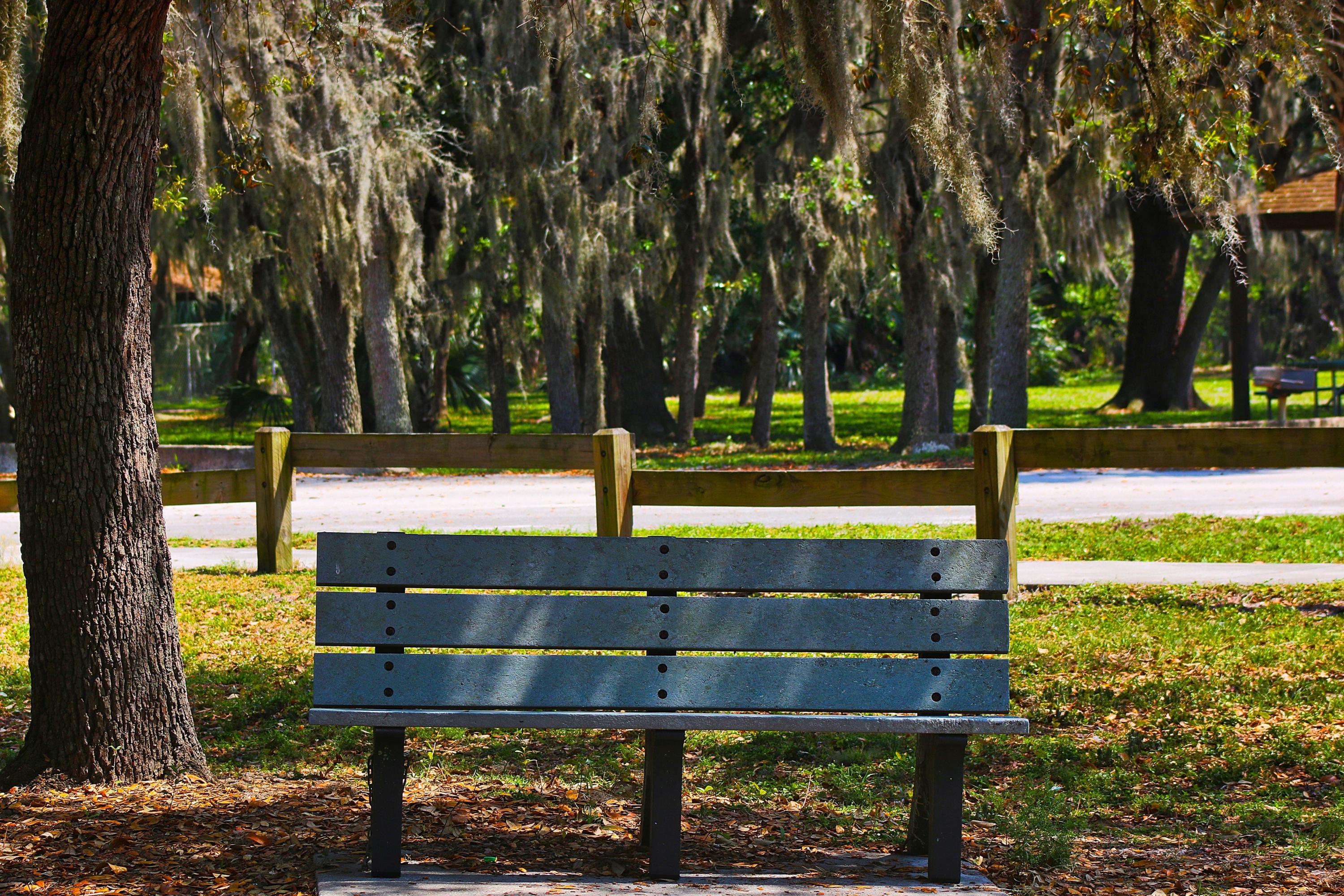8841 First Tee Road Port St. Lucie, FL 34986 - Photo 179 of 228 156 Big Mound Bench #2