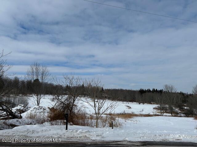 228 Carey Road Jermyn, PA 18433 - Photo 5 of 28 IMG_7418