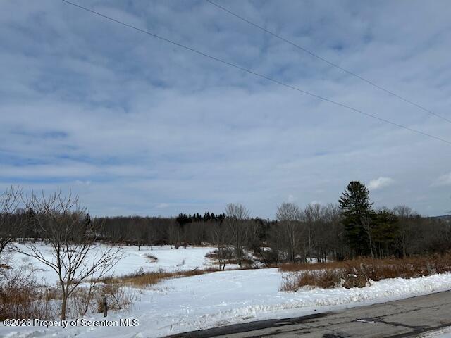 228 Carey Road Jermyn, PA 18433 - Photo 6 of 28 IMG_7417