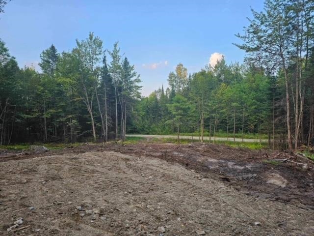 0 Otter Pond Road Bethlehem, NH 03574 - Photo 1 of 9 Gallery Image 1