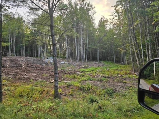 0 Otter Pond Road Bethlehem, NH 03574 - Photo 3 of 9 Gallery Image 3