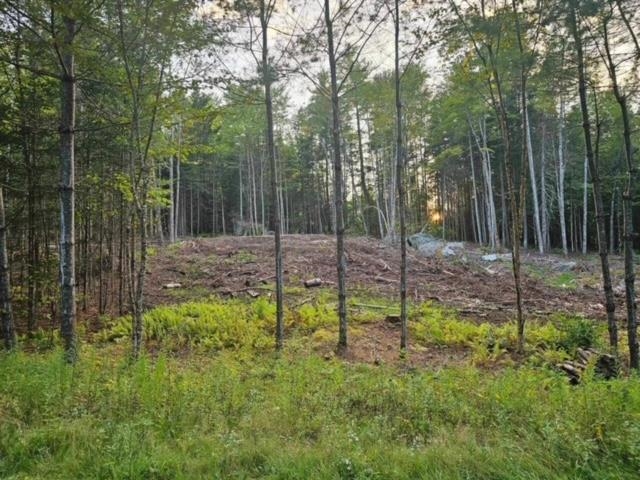 0 Otter Pond Road Bethlehem, NH 03574 - Photo 4 of 9 Gallery Image 4