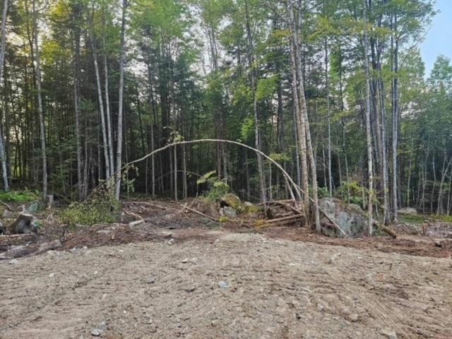 0 Otter Pond Road Bethlehem, NH 03574 - Photo 5 of 9 Gallery Image 5