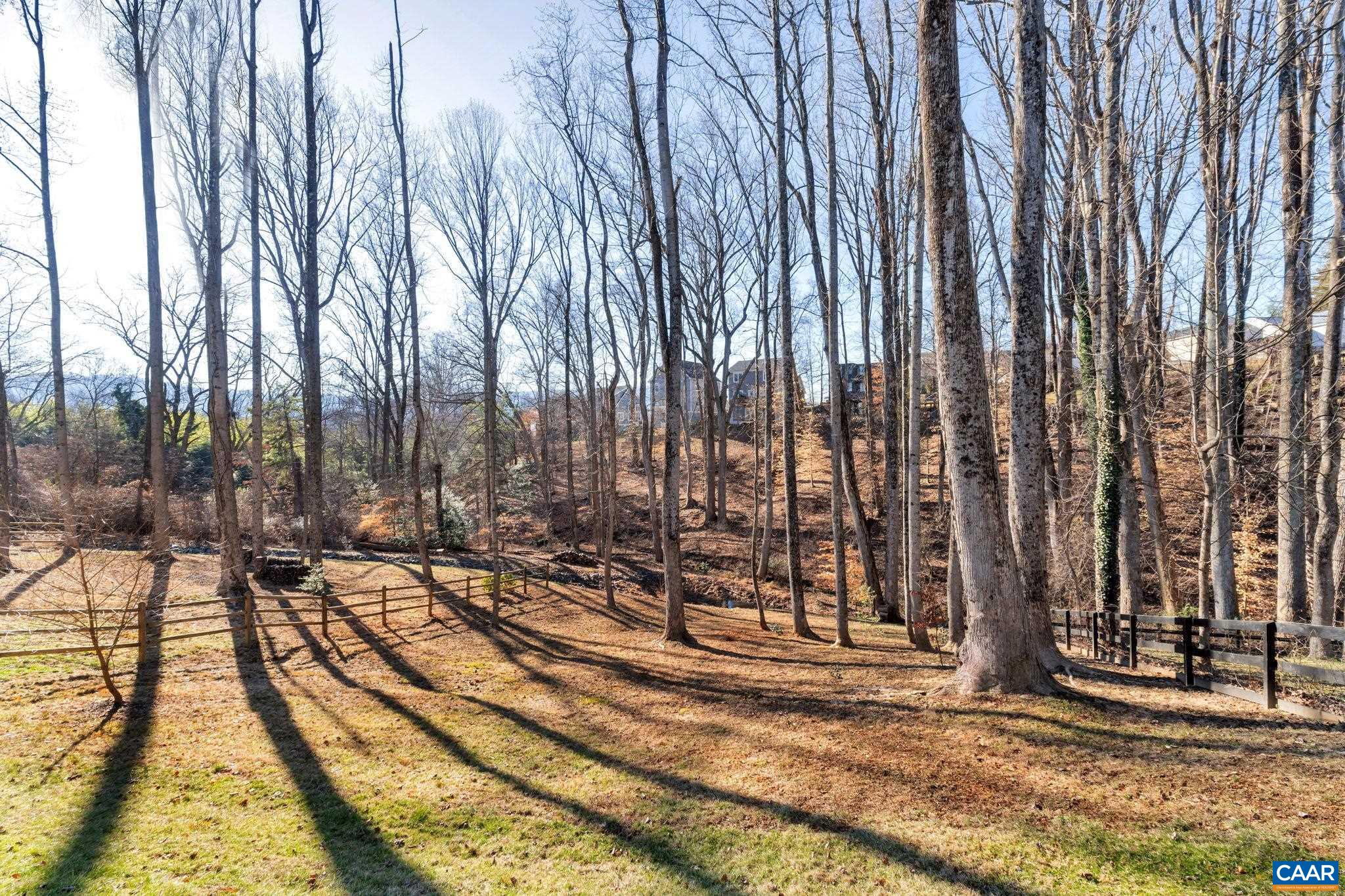 113 Paynes Mill Road Charlottesville, VA 22902 - Photo 68 of 75