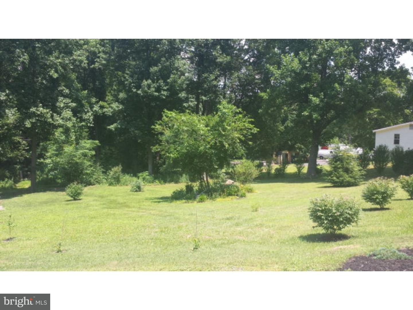 155 Mexico Road Pine Grove, PA 17963 - Photo 2 of 25 Side Yard