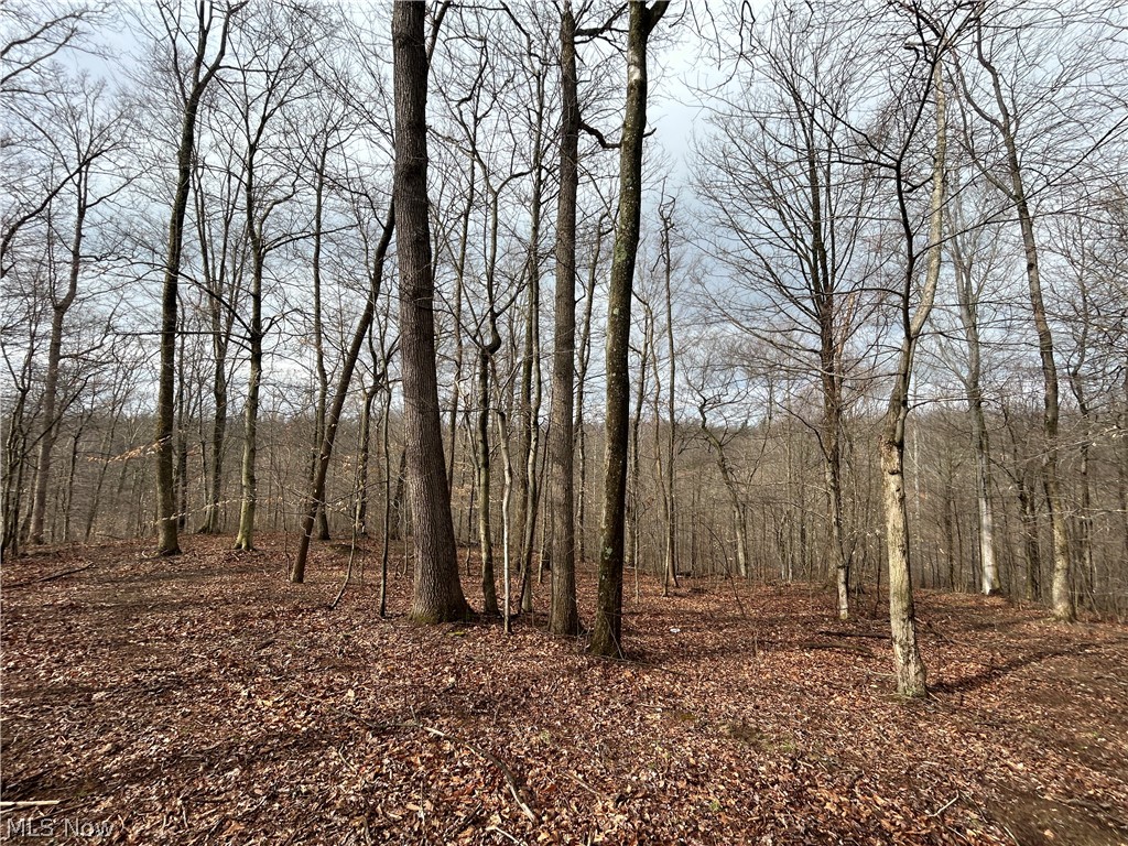 Wilbur Bush Road Crooksville, OH 43731 - Photo 7 of 19