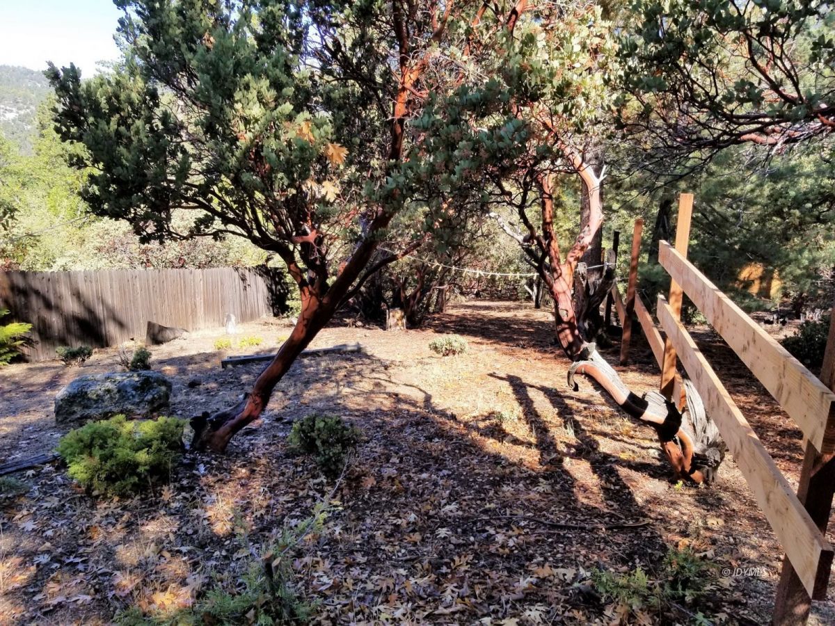 26740 Hopkins Road Idyllwild, CA 92549 - Photo 32 of 32 Back yard
