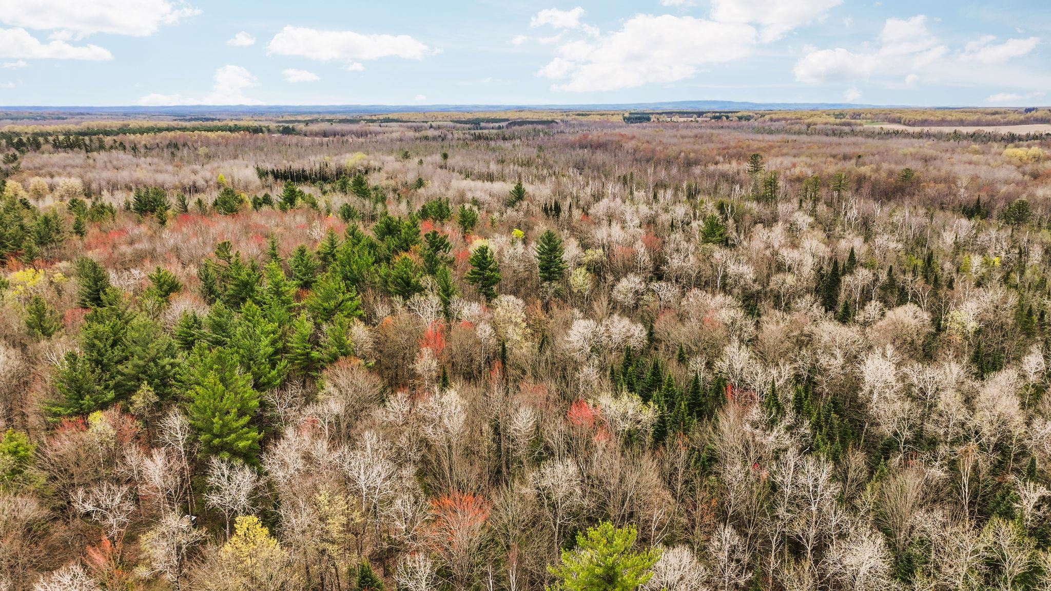 3976 Irvin Road Kingsley, MI 49649 - Photo 14 of 68