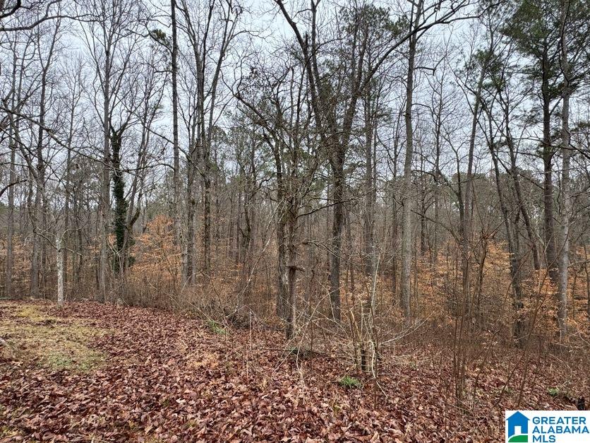 5121 Highway 9 Heflin, AL 36264 - Photo 41 of 54
