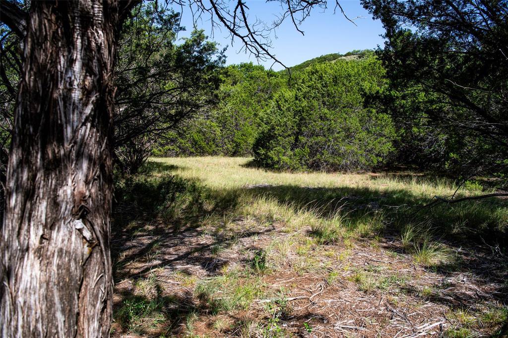 235 Big Bear Loop Strawn, TX 76475 - Photo 14 of 40 a view of lake