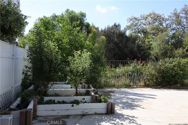 a view of a yard with plants and a bench