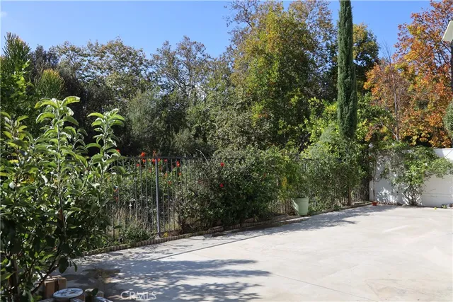 a view of a yard with plants and trees