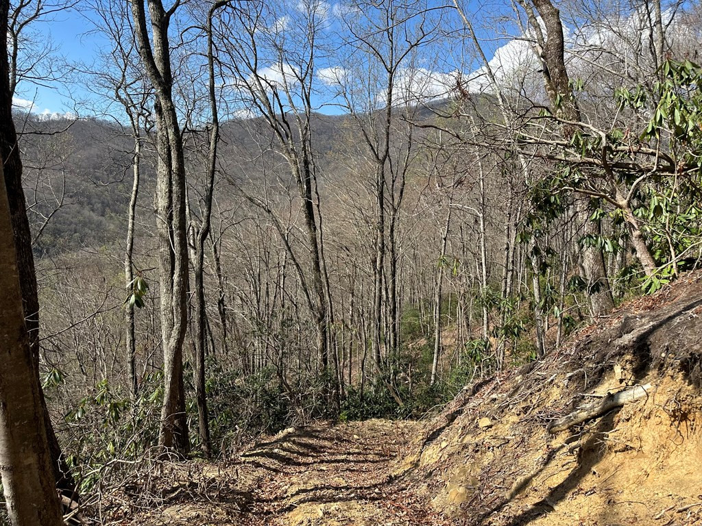 Lot 5 Huffman Creek Road Robbinsville, NC 28771 - Photo 8 of 13