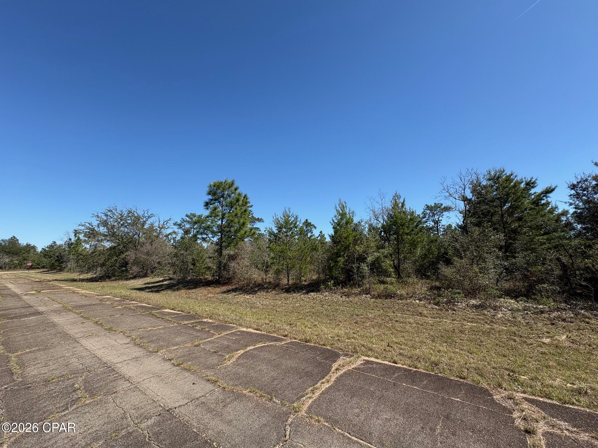 Lot 12 Windmill Street Chipley, FL 32428 - Photo 3 of 5