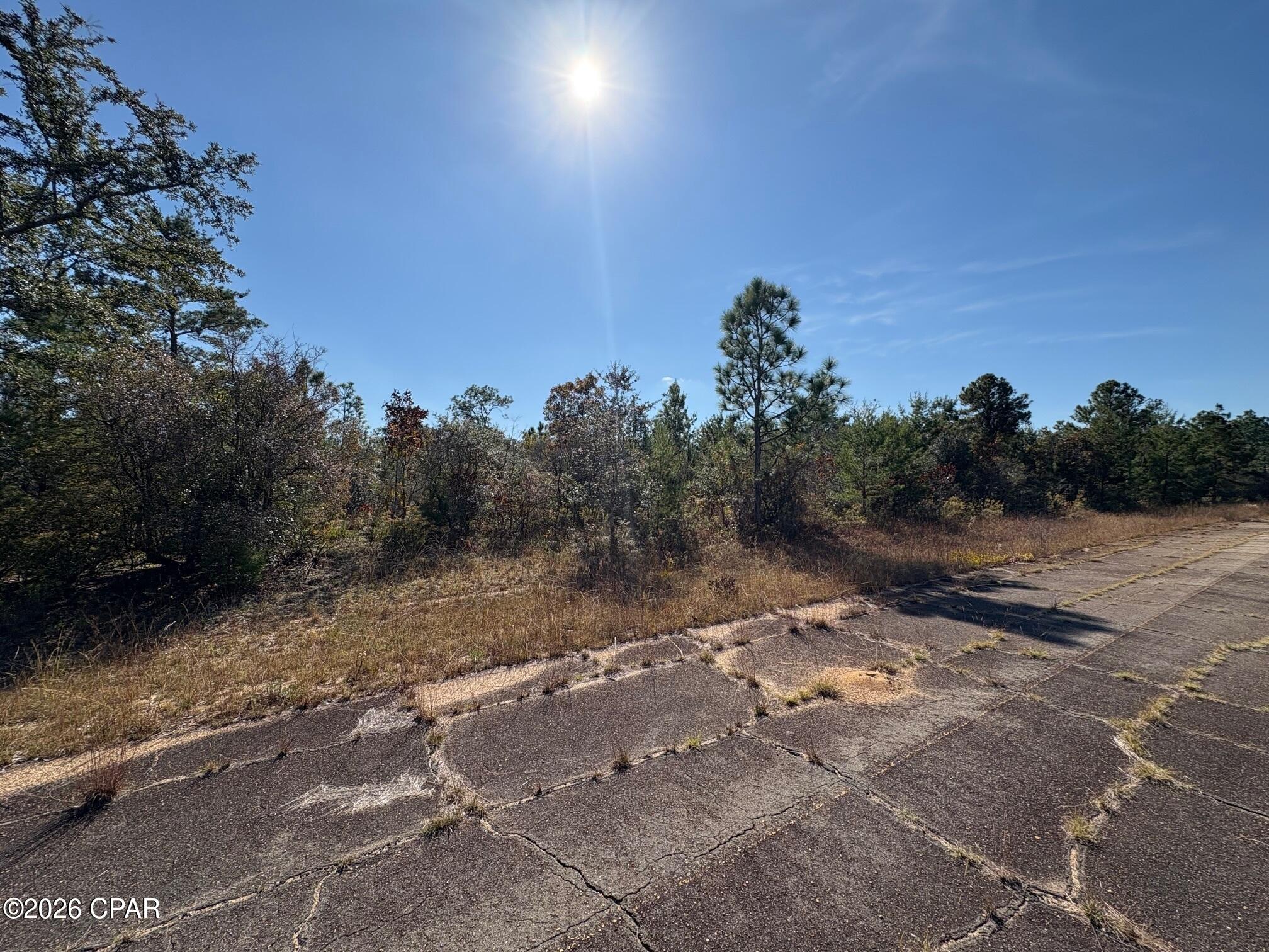 Lot 12 Windmill Street Chipley, FL 32428 - Photo 4 of 5
