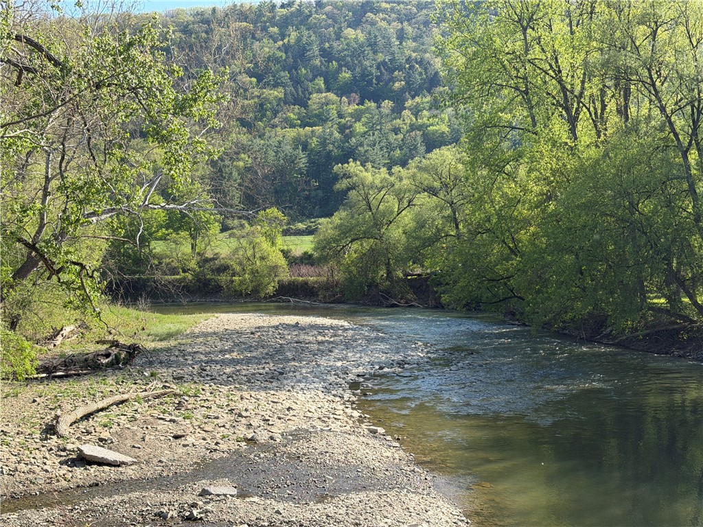 Lot 3 McChesney Road Cameron, NY 14819 - Photo 3 of 21