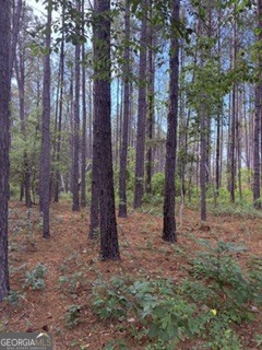 645 Bent Knee Road Keysville, GA 30816 - Photo 30 of 36 Gallery Image 30