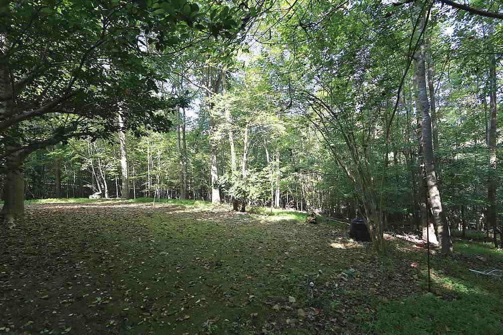 10745 Dunhill Terrace Raleigh, NC 27615 - Photo 16 of 19 Back Yard