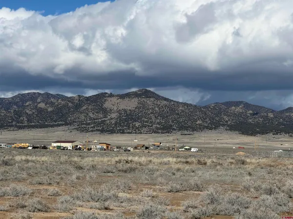 a view of a dry yard