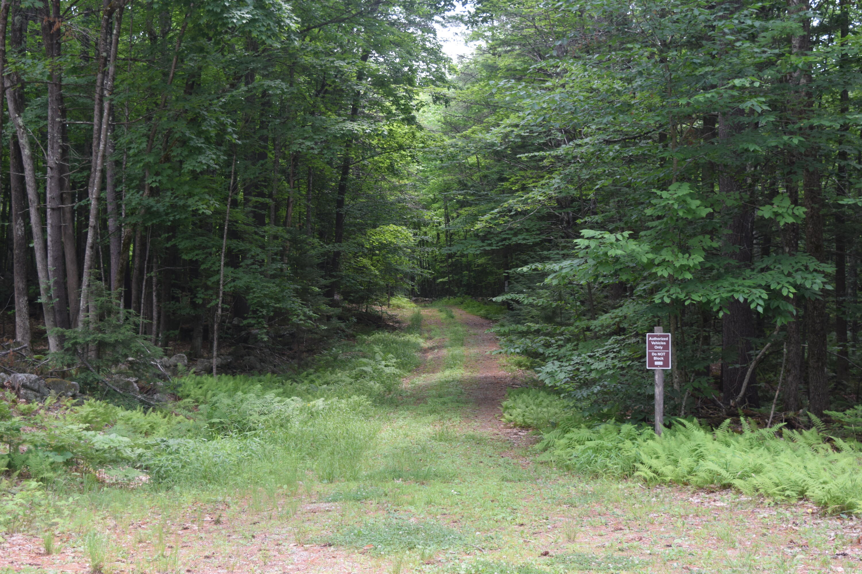 401 Menotomy Road Fryeburg, ME 04037 - Photo 44 of 44 DSC_0003