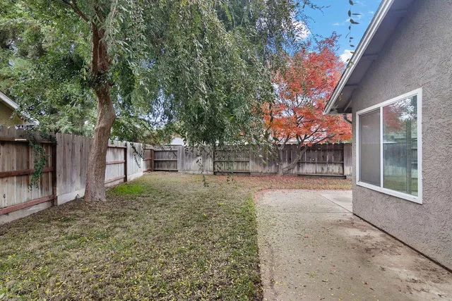 a view of a yard with plants and trees