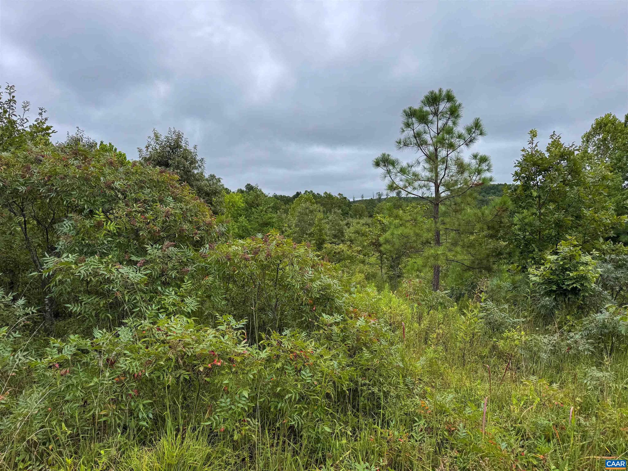 Tba Old Green Mountain Road, Unit 500 Esmont, VA 22937 - Photo 28 of 33