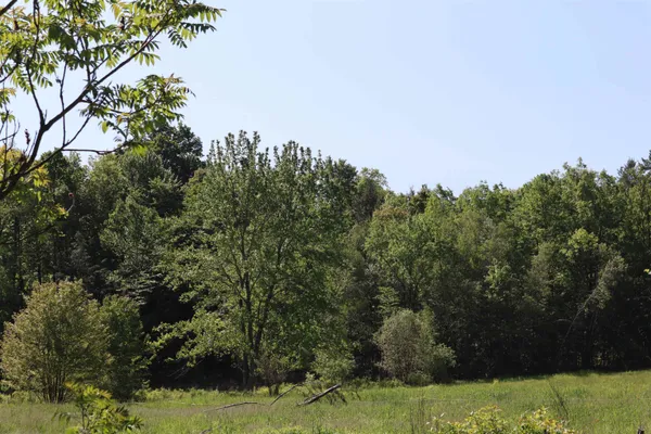 $90,000 | 1041 Smead Road, Unit LOT 1, Salisbury, VT 05769