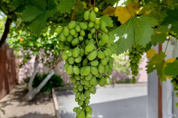 $599,990 | 2924 Redwood Drive, Fairfield, CA 94533