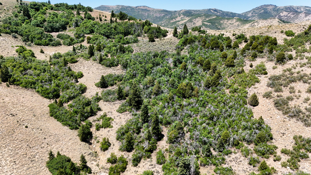 7500 Spring Canyon Road Helper, UT 84526 - Photo 57 of 83 Mountain view featuring rural landscape