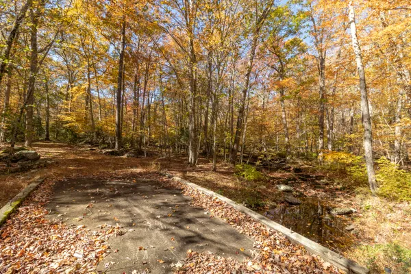 a view of backyard with green space