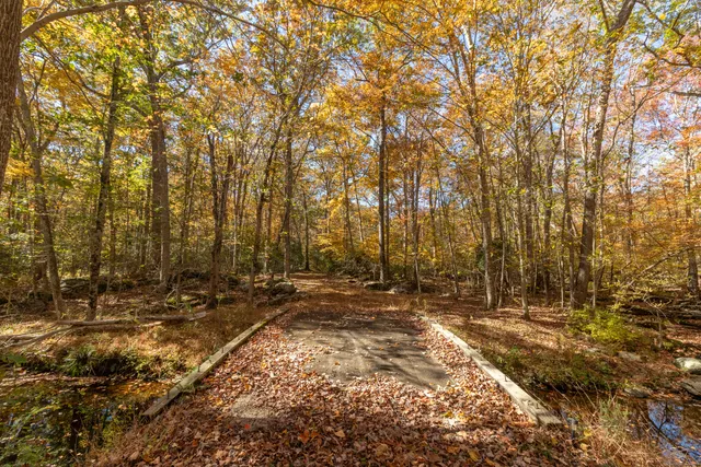 a view of a yard with large trees