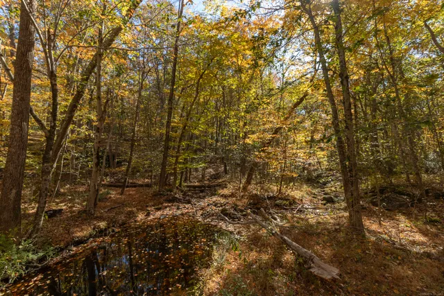 a view of outdoor space and a yard