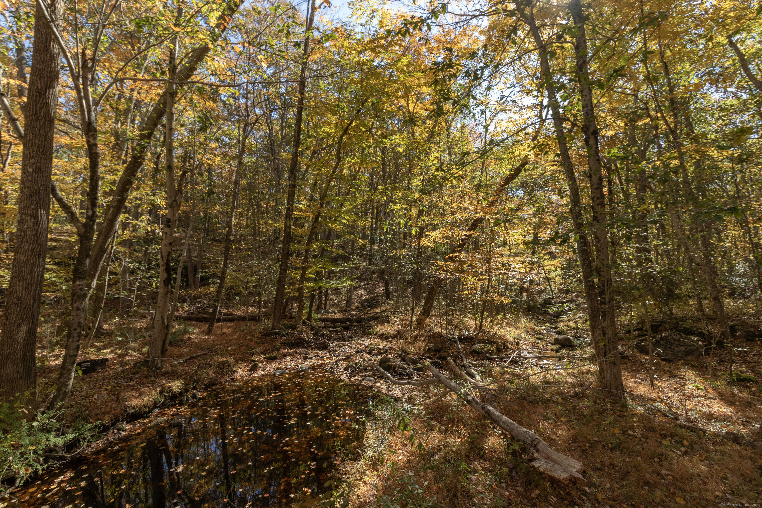 4 Laurel Lane Clinton, CT 06413 - Photo 13 of 30 a view of outdoor space and a yard