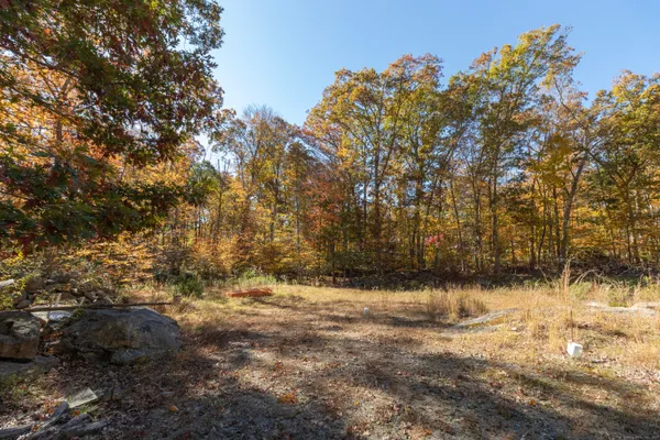a view of covered with snow