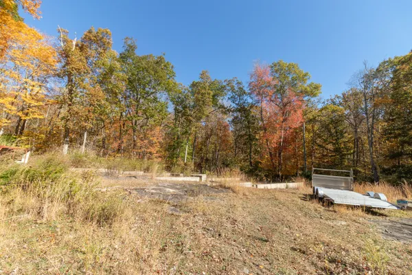 a view of wooden floor and trees