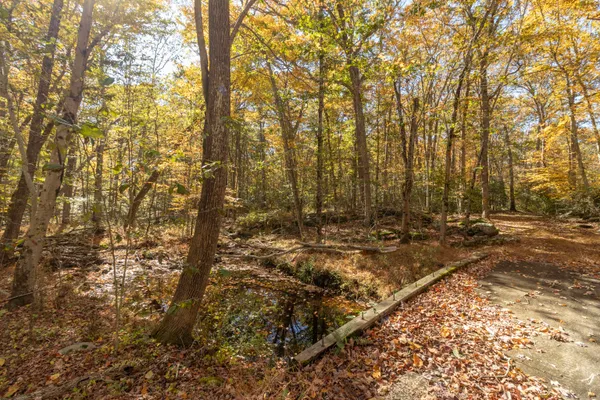 a view of backyard of house