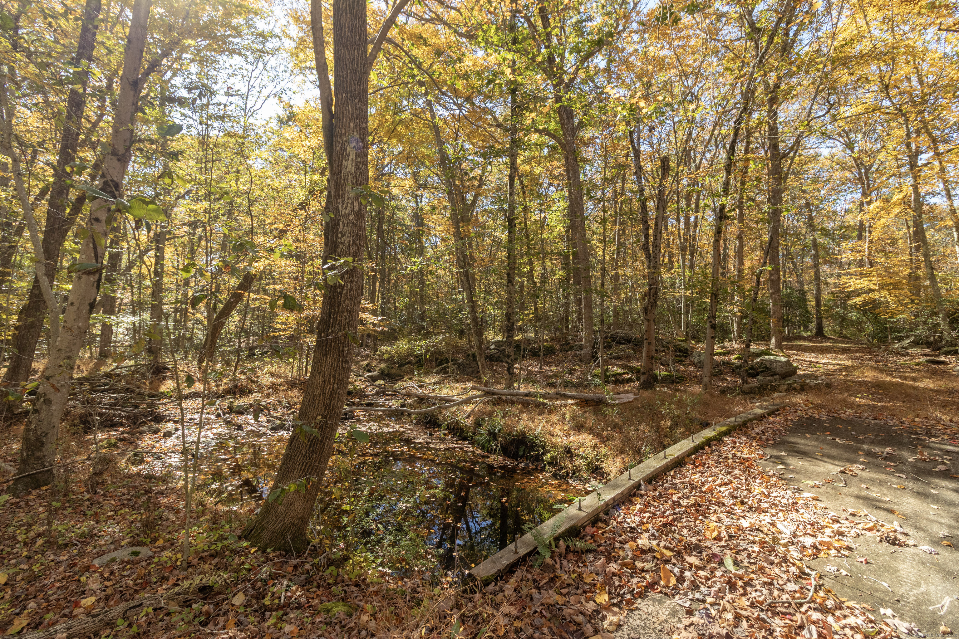 4 Laurel Lane Clinton, CT 06413 - Photo 2 of 30 a view of backyard of house