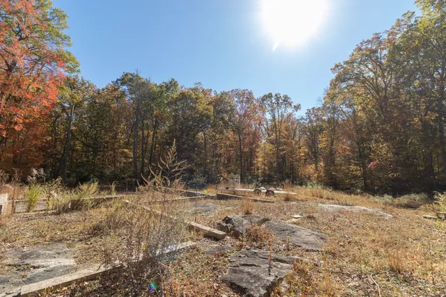 a view of a yard with trees in the background