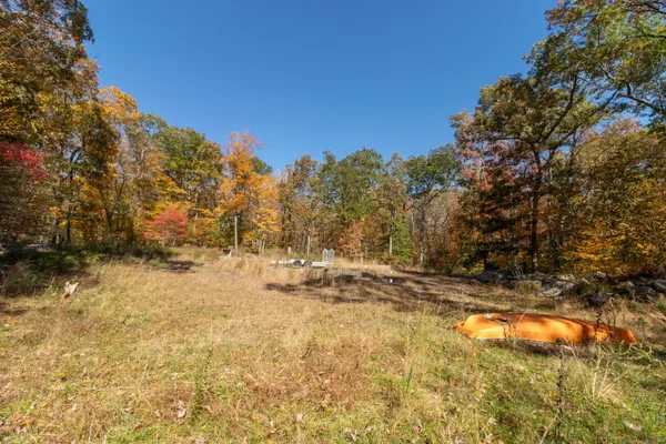 a view of outdoor space and a yard