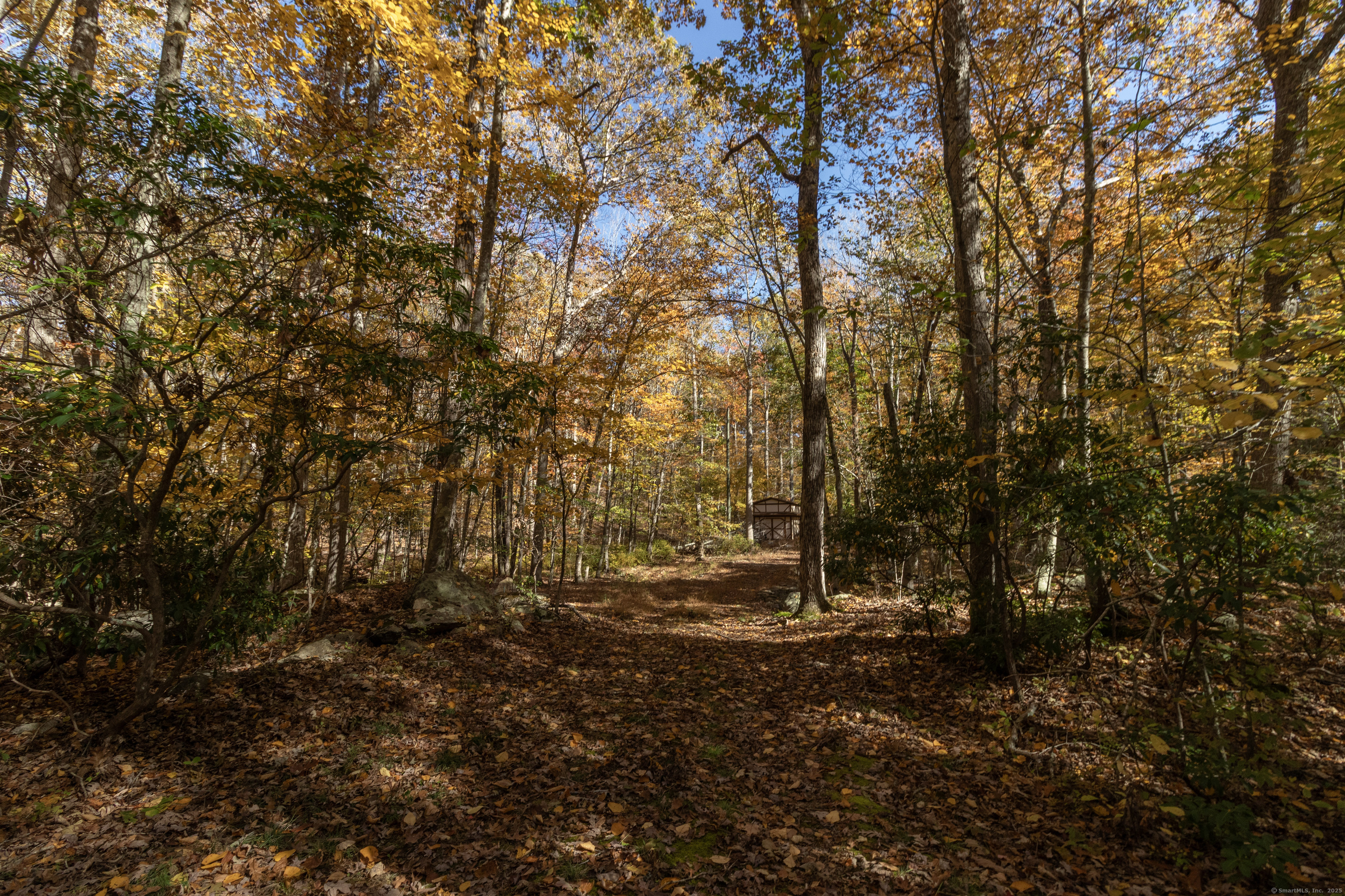 4 Laurel Lane Clinton, CT 06413 - Photo 27 of 30 a view of a forest with trees
