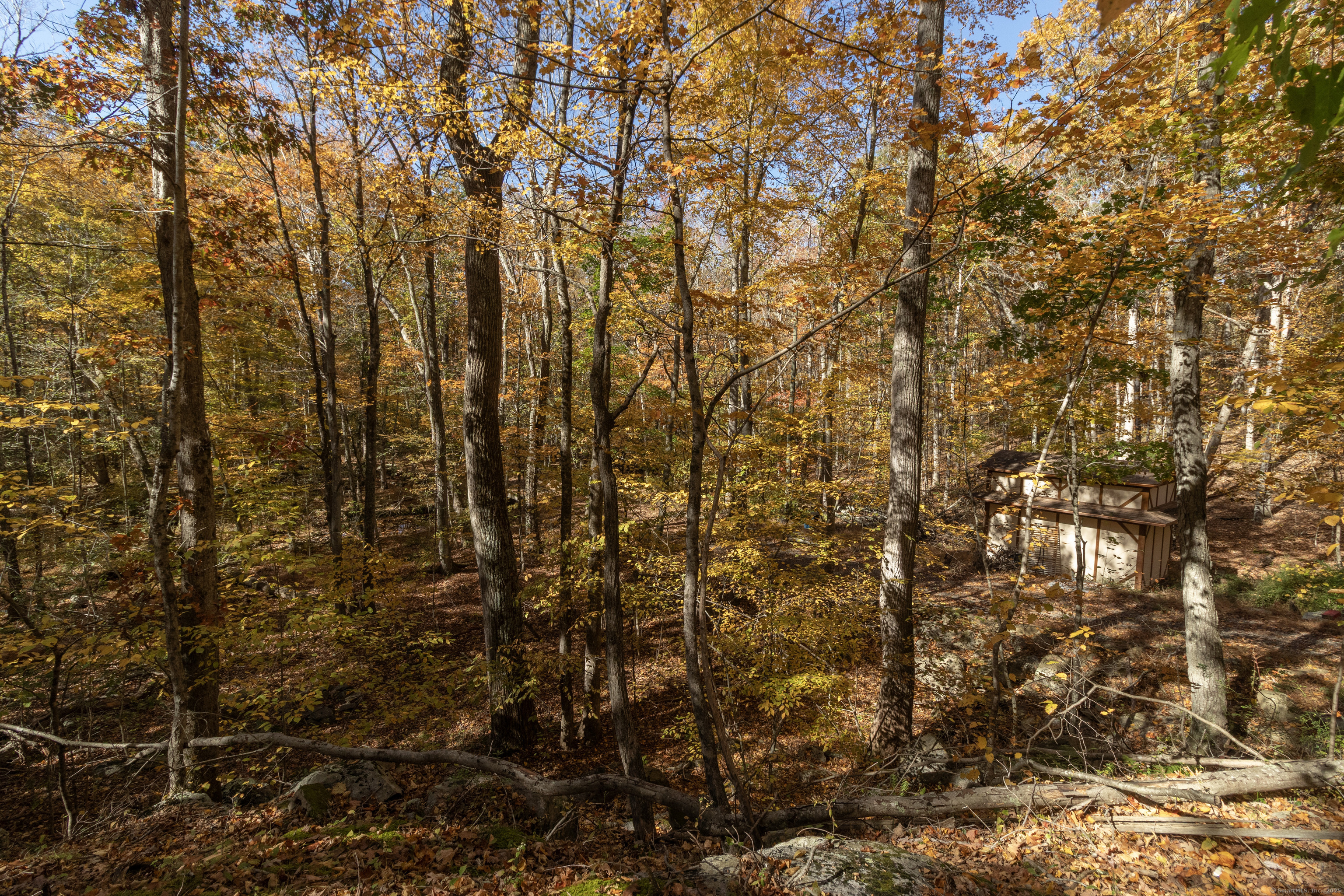 4 Laurel Lane Clinton, CT 06413 - Photo 29 of 30