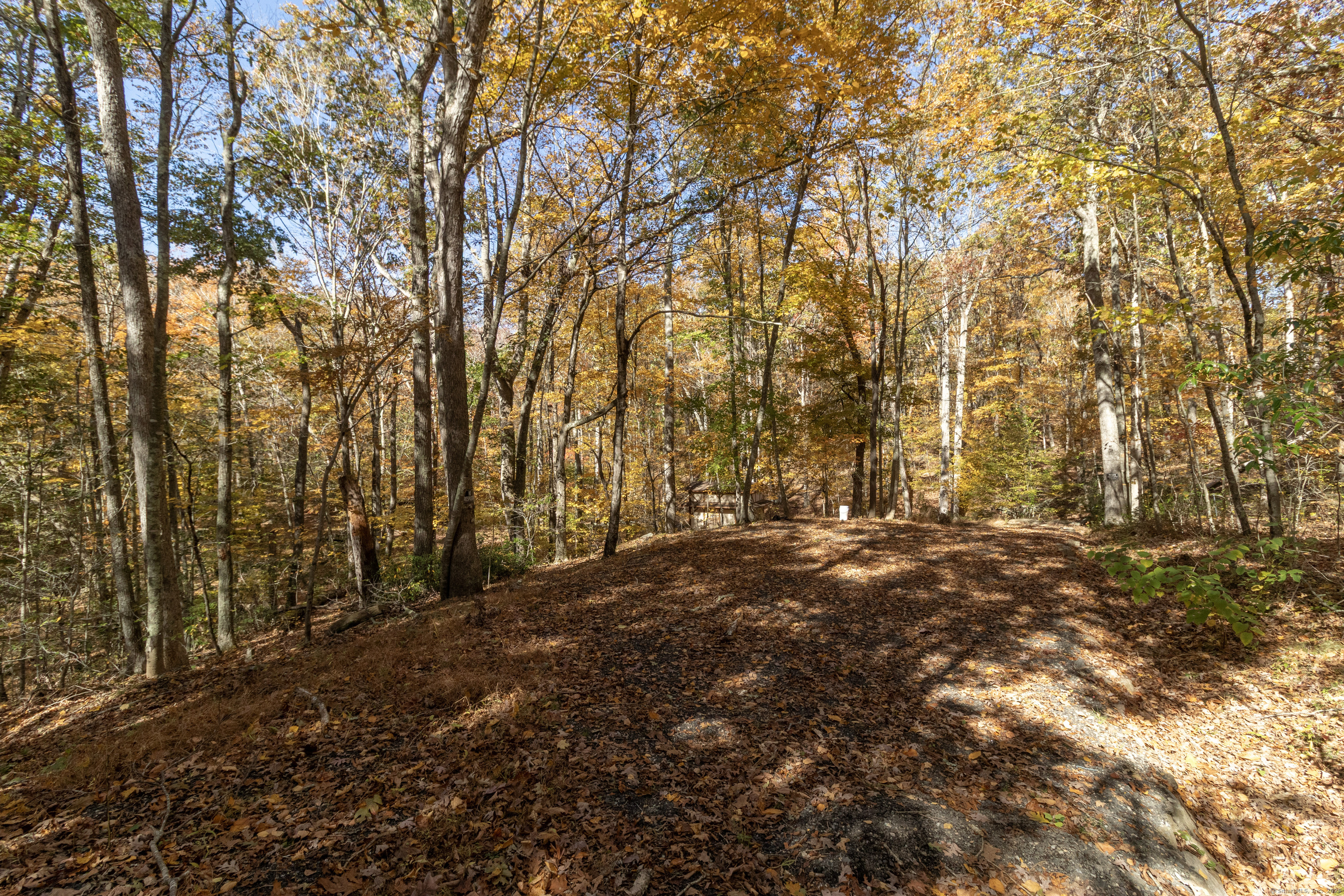 4 Laurel Lane Clinton, CT 06413 - Photo 4 of 30 a view of outdoor space and yard