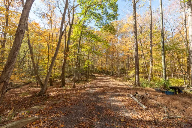 a view of outdoor space with trees
