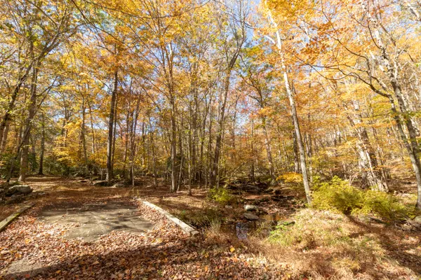 a view of house with trees