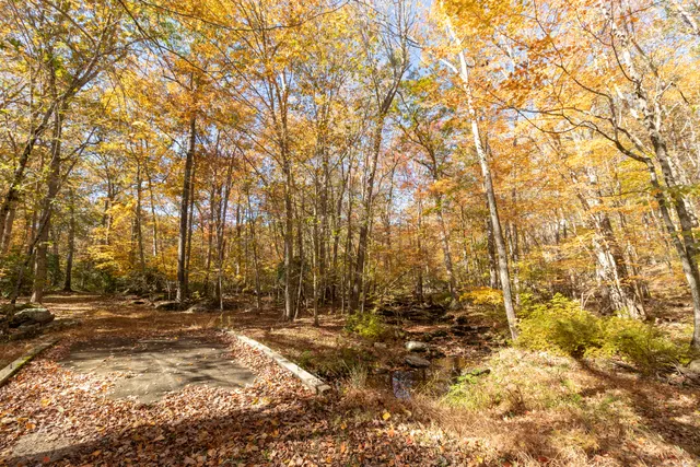 a view of house with trees