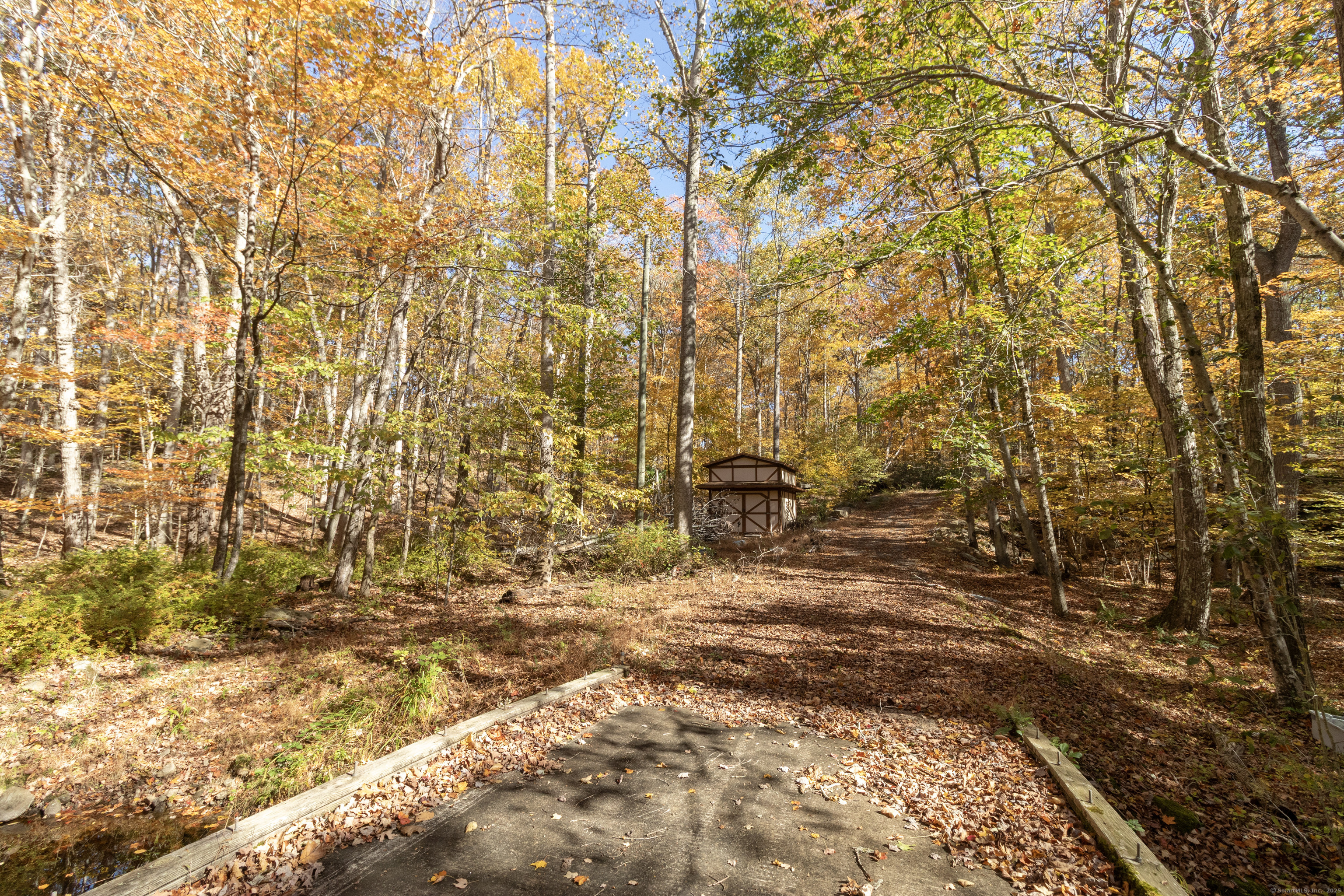 4 Laurel Lane Clinton, CT 06413 - Photo 9 of 30 a view of yard