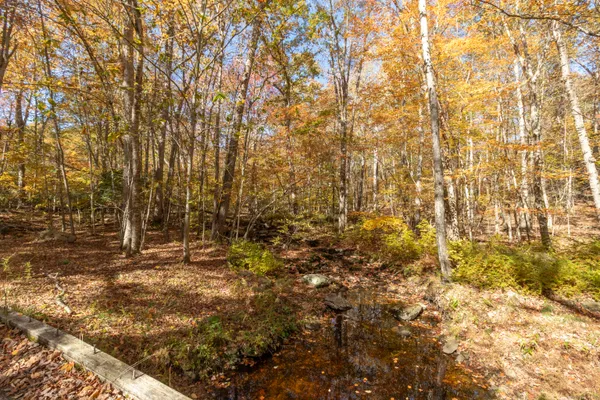 a view of a yard with a tree