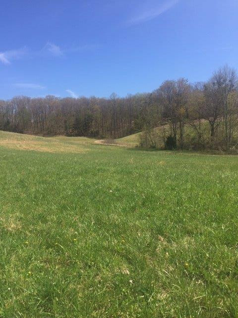 9999 Rubin Ridge Road London, KY 40741 - Photo 1 of 17 Photo 1