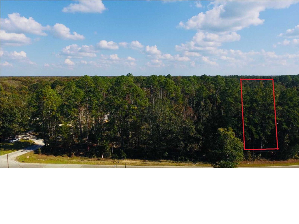 12 Yoder Street Wewahitchka, FL 32465 - Photo 1 of 1