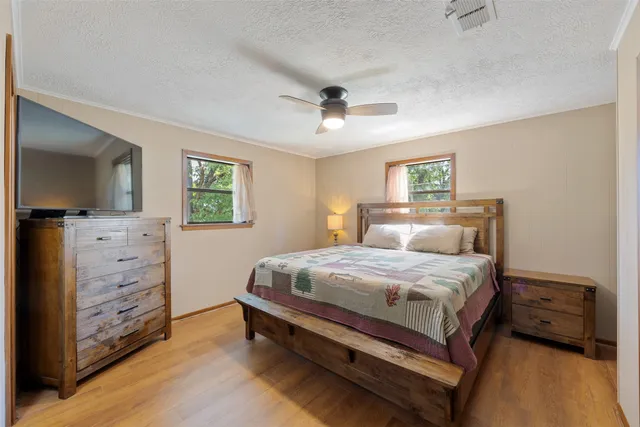 a view of a backyard with plants and large tree